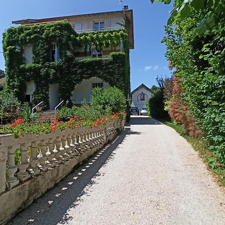 Contrexéville Une Tiny House A Decouvrir Au Coeur De La Cite ! מראה חיצוני תמונה
