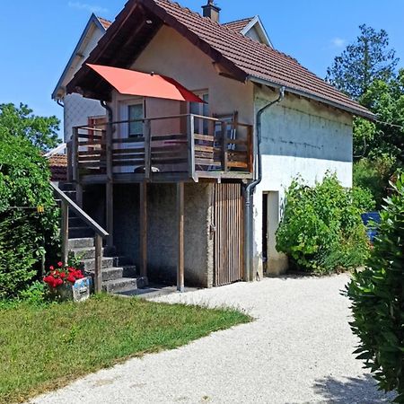 Contrexéville Une Tiny House A Decouvrir Au Coeur De La Cite ! מראה חיצוני תמונה
